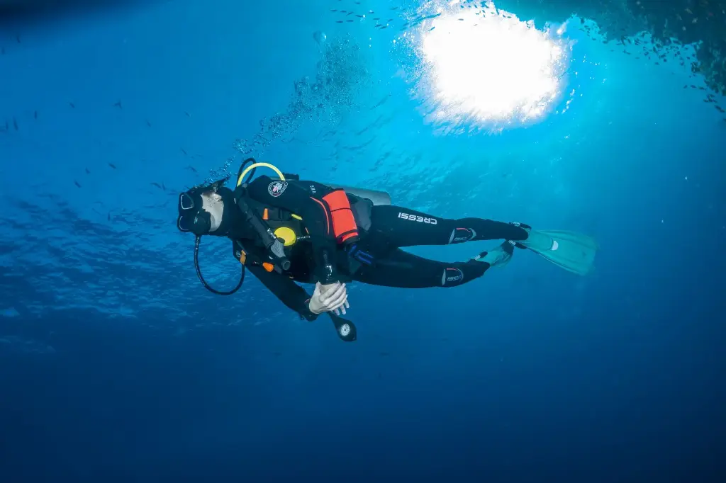 Wetsuit