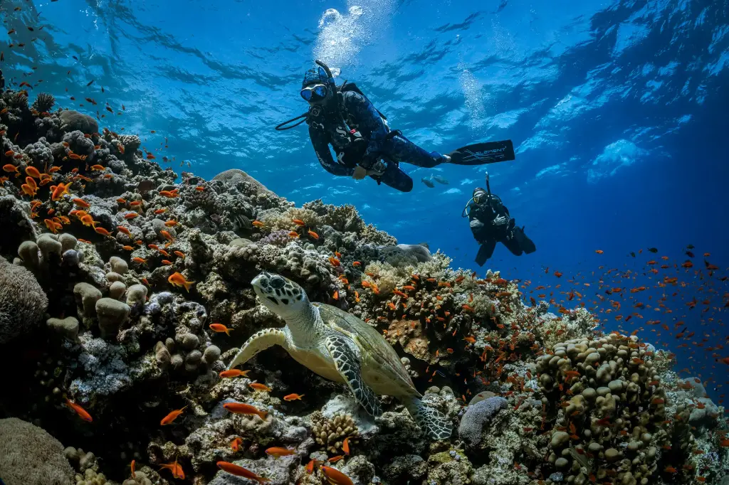 PADI Peak Performance Buoyancy. 
