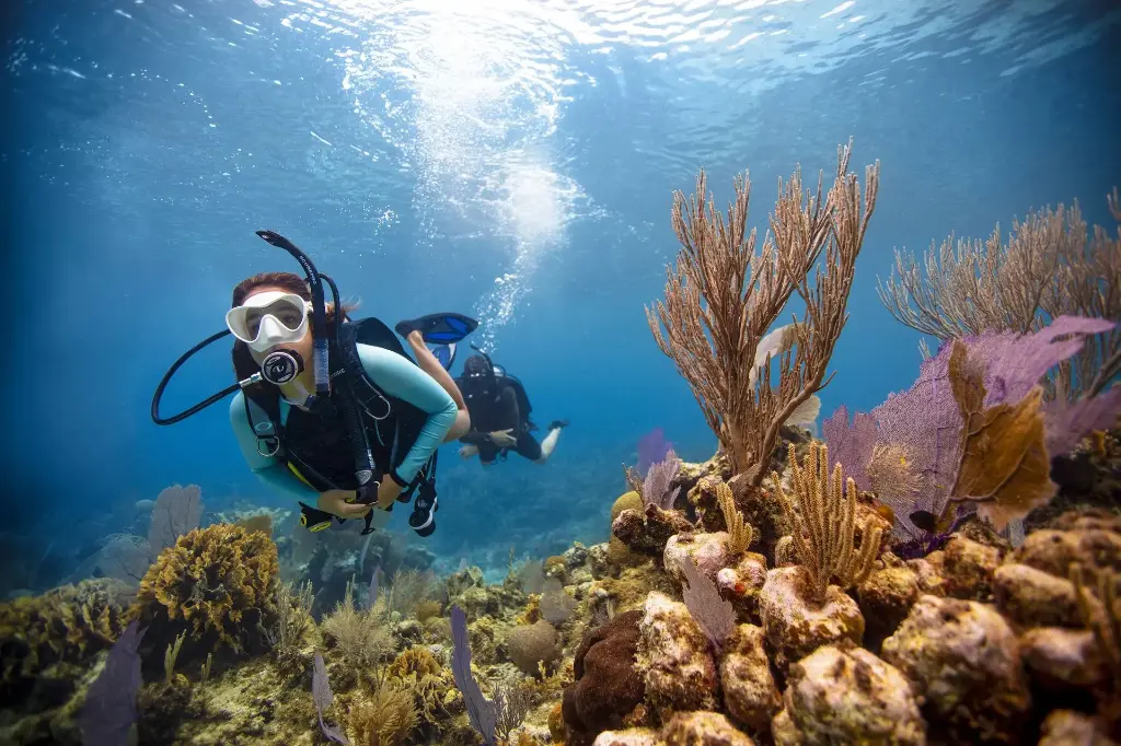 PADI Scuba Diver