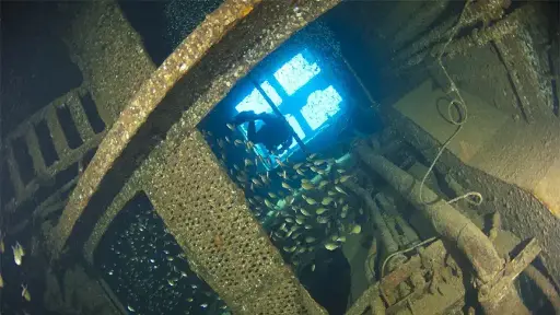 [122] PADI Wreck Diver