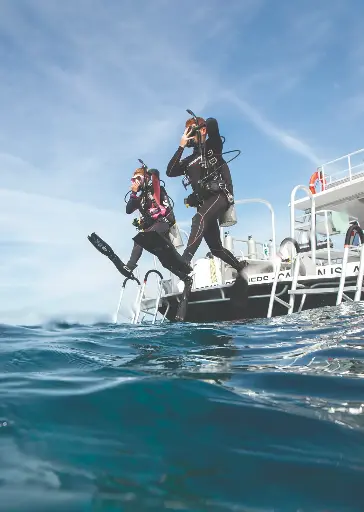 [101] Scuba Refresher